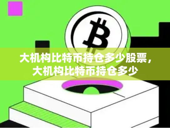 大机构比特币持仓多少股票，大机构比特币持仓多少-第1张图片-币数通