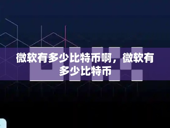 微软有多少比特币啊，微软有多少比特币