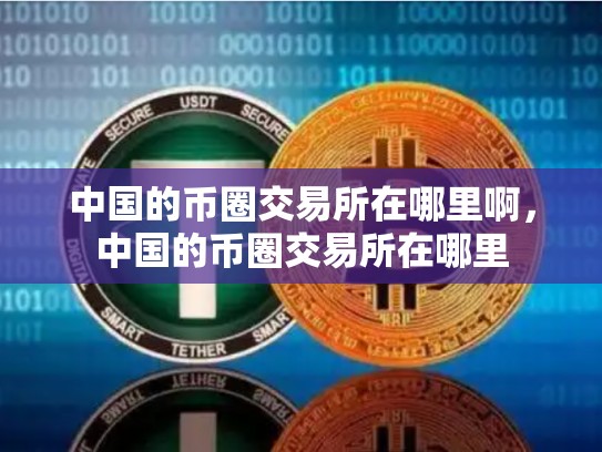 中国的币圈交易所在哪里啊，中国的币圈交易所在哪里-第1张图片-币数通