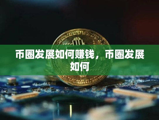 币圈发展如何赚钱，币圈发展如何