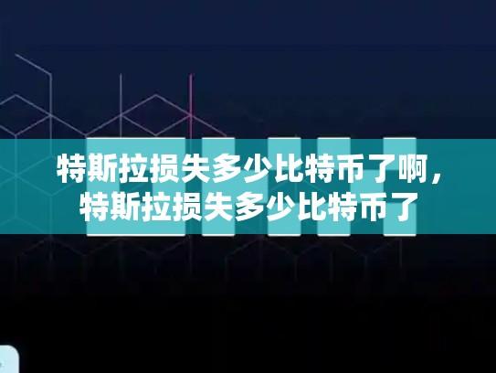 特斯拉损失多少比特币了啊，特斯拉损失多少比特币了-第1张图片-币数通