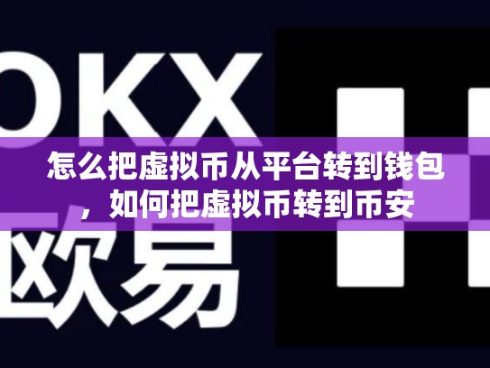 怎么把虚拟币从平台转到钱包，如何把虚拟币转到币安-第1张图片-币数通
