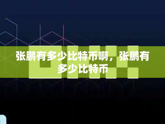 张鹏有多少比特币啊，张鹏有多少比特币-第1张图片-币数通