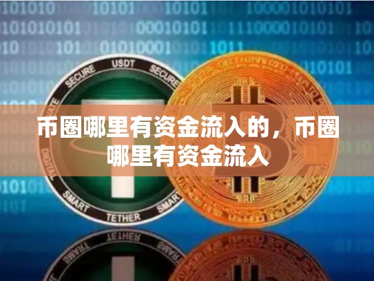 币圈哪里有资金流入的，币圈哪里有资金流入-第1张图片-币数通