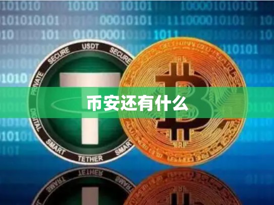 币安还有什么
