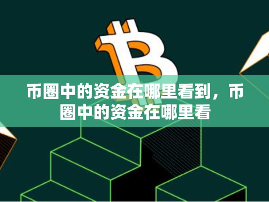 币圈中的资金在哪里看到，币圈中的资金在哪里看