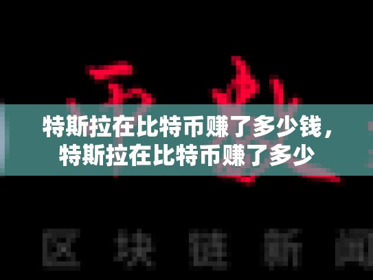 特斯拉在比特币赚了多少钱，特斯拉在比特币赚了多少-第1张图片-币数通