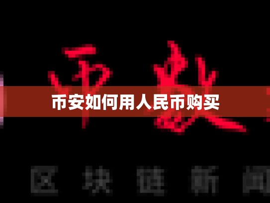 币安如何用人民币购买-第1张图片-币数通