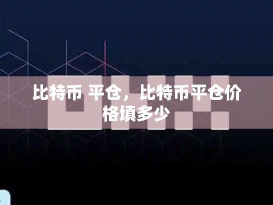 比特币 平仓，比特币平仓价格填多少-第1张图片-币数通