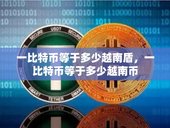 一比特币等于多少越南盾，一比特币等于多少越南币