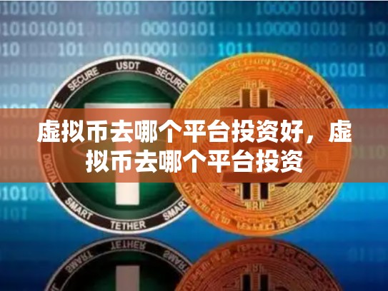虚拟币去哪个平台投资好，虚拟币去哪个平台投资-第1张图片-币数通