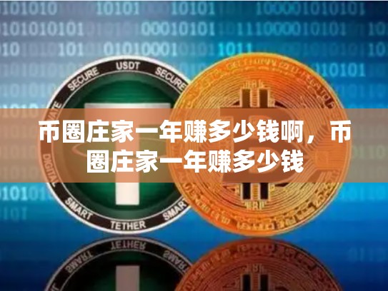 币圈庄家一年赚多少钱啊，币圈庄家一年赚多少钱