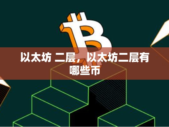 以太坊 二层，以太坊二层有哪些币-第1张图片-币数通