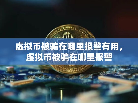 虚拟币被骗在哪里报警有用，虚拟币被骗在哪里报警