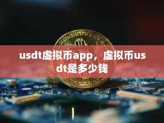 usdt虚拟币app，虚拟币usdt是多少钱
