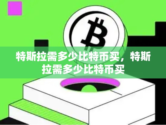 特斯拉需多少比特币买，特斯拉需多少比特币买