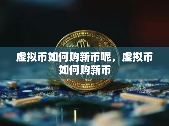 虚拟币如何购新币呢，虚拟币如何购新币-第1张图片-币数通
