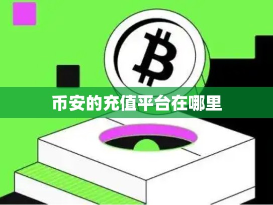 币安的充值平台在哪里