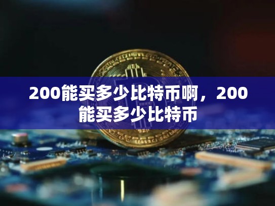 200能买多少比特币啊，200能买多少比特币