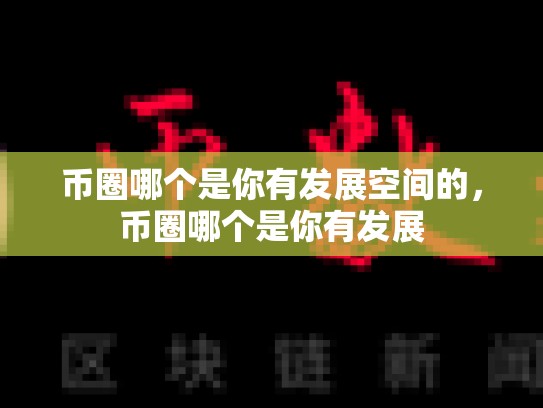 币圈哪个是你有发展空间的，币圈哪个是你有发展