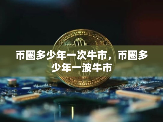 币圈多少年一次牛市，币圈多少年一波牛市-第1张图片-币数通