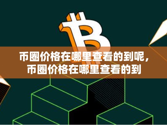 币圈价格在哪里查看的到呢，币圈价格在哪里查看的到-第1张图片-币数通