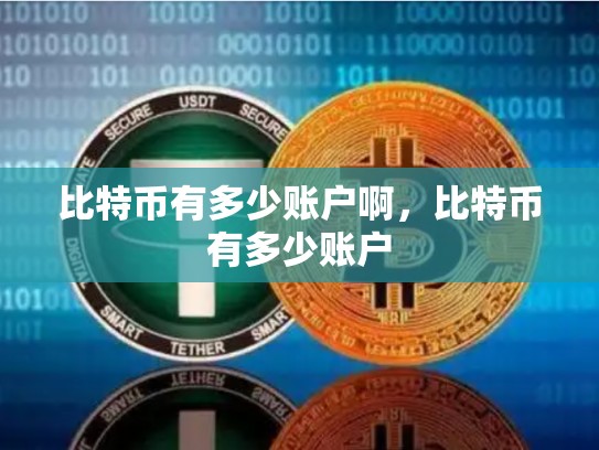 比特币有多少账户啊，比特币有多少账户