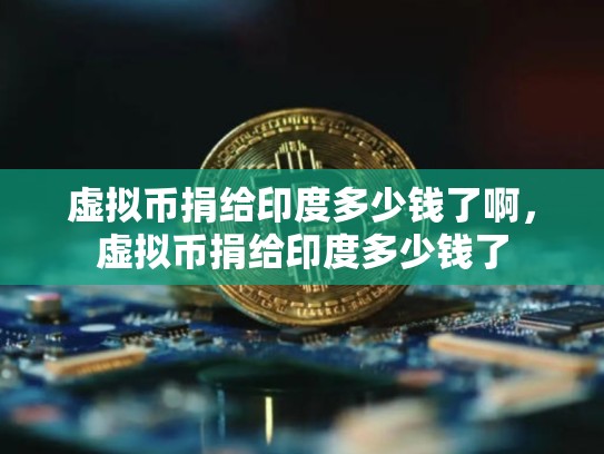 虚拟币捐给印度多少钱了啊，虚拟币捐给印度多少钱了-第1张图片-币数通