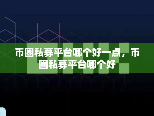 币圈私募平台哪个好一点，币圈私募平台哪个好