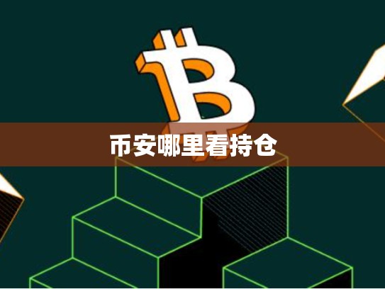 币安哪里看持仓