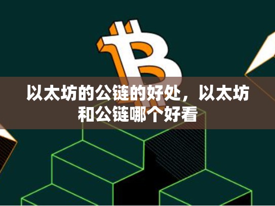 以太坊的公链的好处，以太坊和公链哪个好看