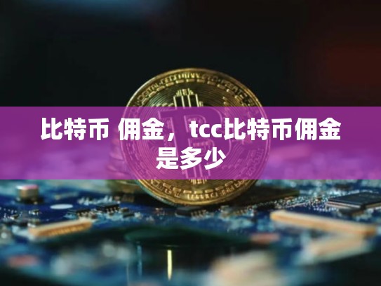 比特币 佣金，tcc比特币佣金是多少