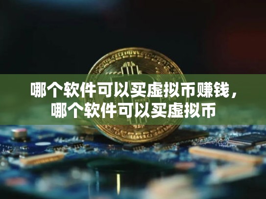 哪个软件可以买虚拟币赚钱，哪个软件可以买虚拟币-第1张图片-币数通