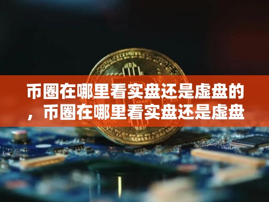 币圈在哪里看实盘还是虚盘的，币圈在哪里看实盘还是虚盘