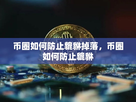 币圈如何防止貔貅掉落，币圈如何防止貔貅