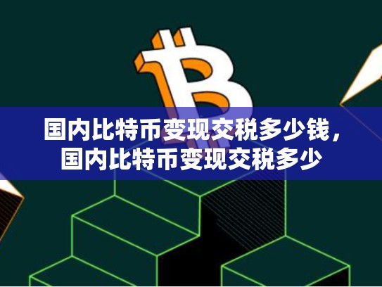 国内比特币变现交税多少钱，国内比特币变现交税多少