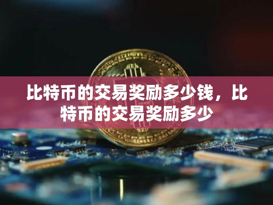 比特币的交易奖励多少钱，比特币的交易奖励多少-第1张图片-币数通