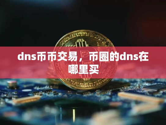 dns币币交易，币圈的dns在哪里买-第1张图片-币数通