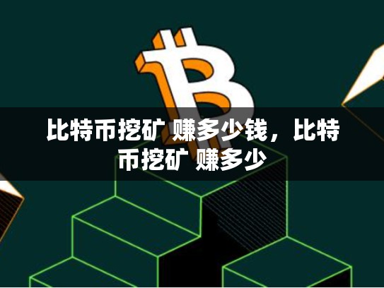 比特币挖矿 赚多少钱，比特币挖矿 赚多少-第1张图片-币数通