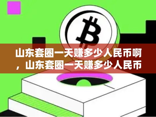 山东套圈一天赚多少人民币啊，山东套圈一天赚多少人民币-第1张图片-币数通