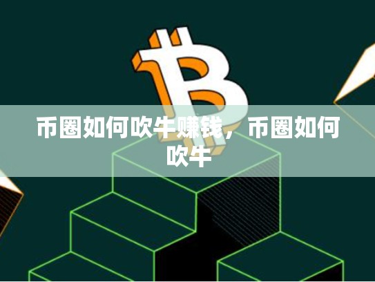 币圈如何吹牛赚钱，币圈如何吹牛
