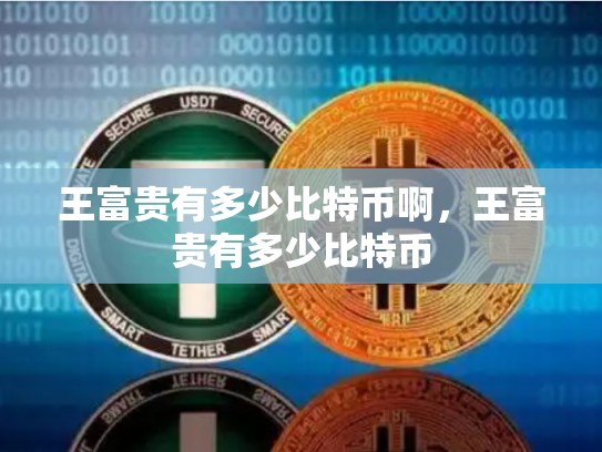 王富贵有多少比特币啊，王富贵有多少比特币-第1张图片-币数通