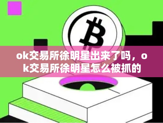 ok交易所徐明星出来了吗，ok交易所徐明星怎么被抓的