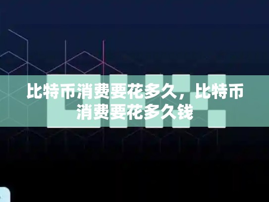 比特币消费要花多久，比特币消费要花多久钱-第1张图片-币数通