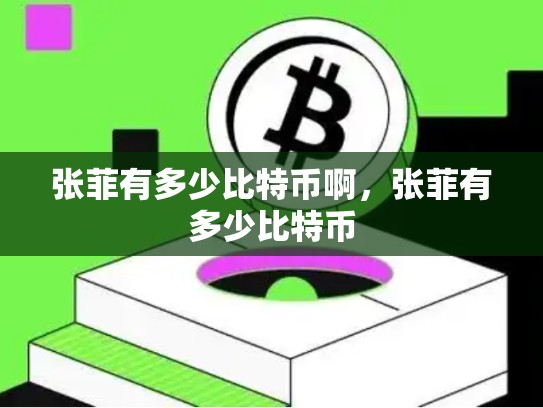 张菲有多少比特币啊，张菲有多少比特币