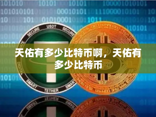 天佑有多少比特币啊，天佑有多少比特币