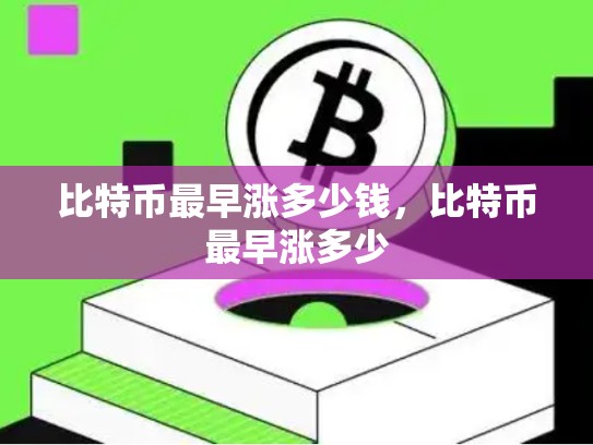 比特币最早涨多少钱，比特币最早涨多少