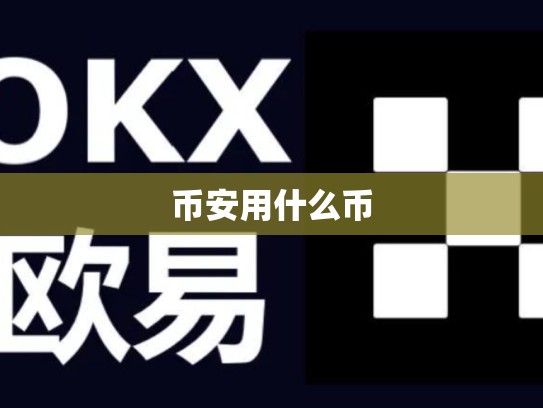 币安用什么币
