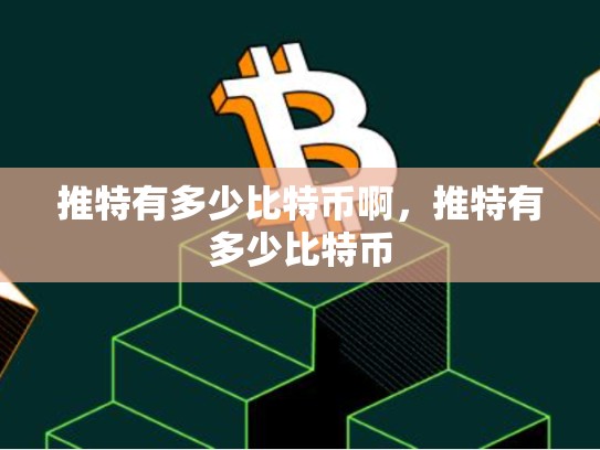推特有多少比特币啊，推特有多少比特币
