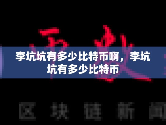 李坑坑有多少比特币啊，李坑坑有多少比特币